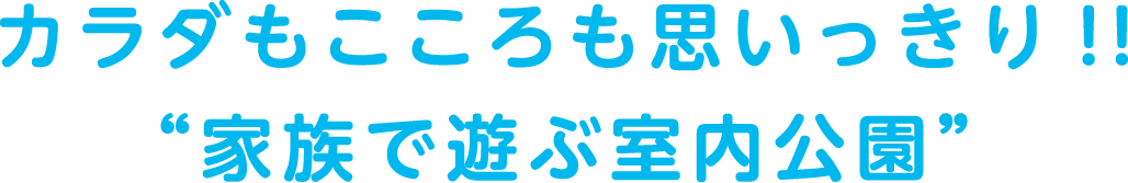 カラダもこころも思いっきり!!“家族で遊ぶ室内公園”